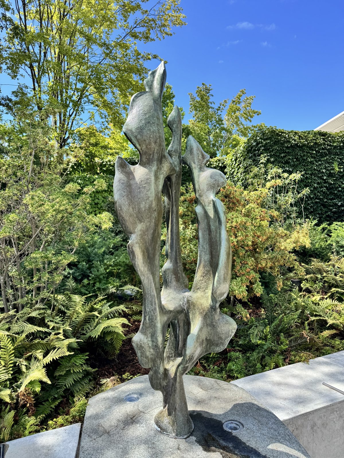 Seaweed (Kelp) bronze sculpture close-up