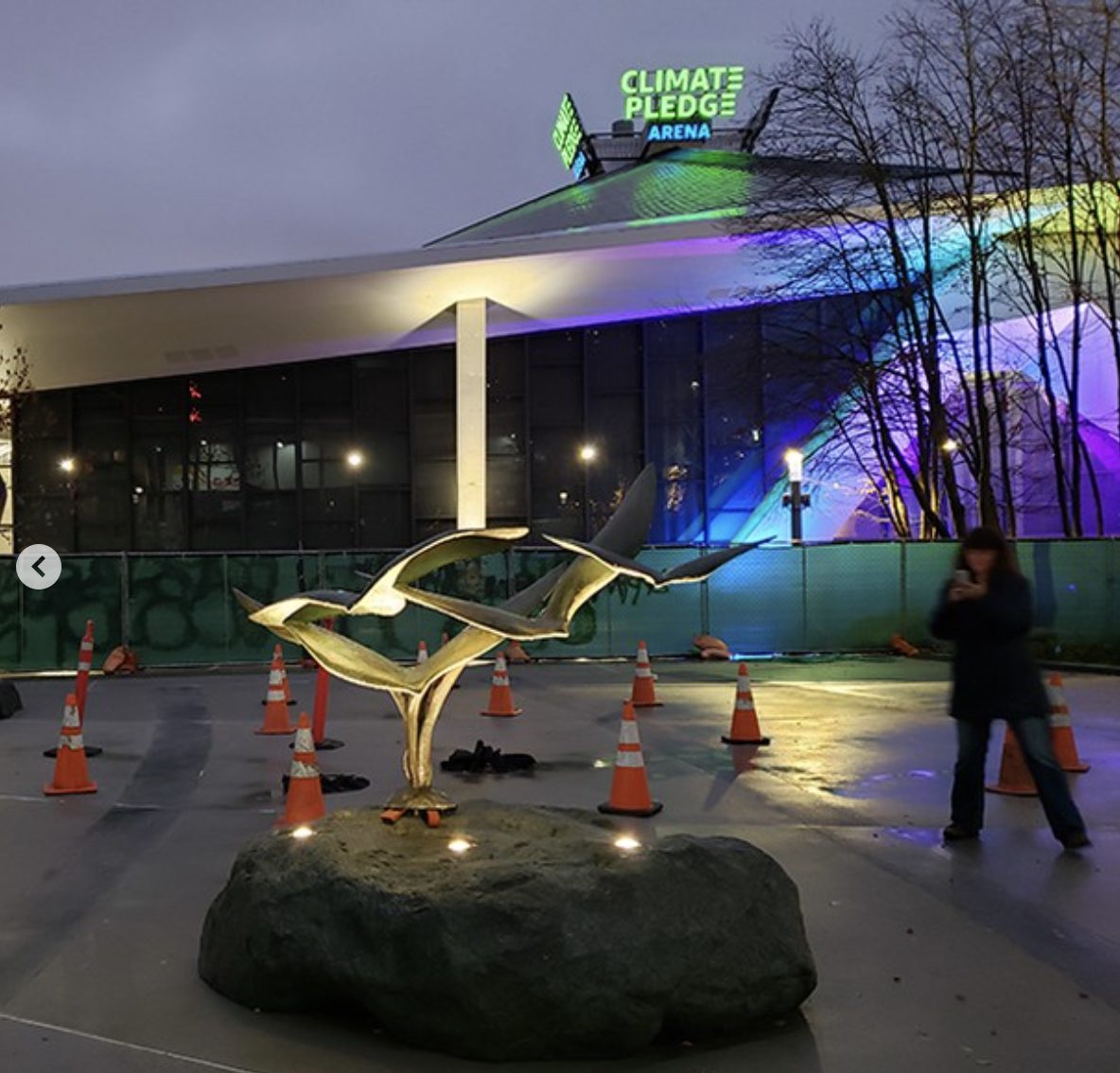 Flight of Gulls lit up at night with Climate Pledge Arena glowing behind